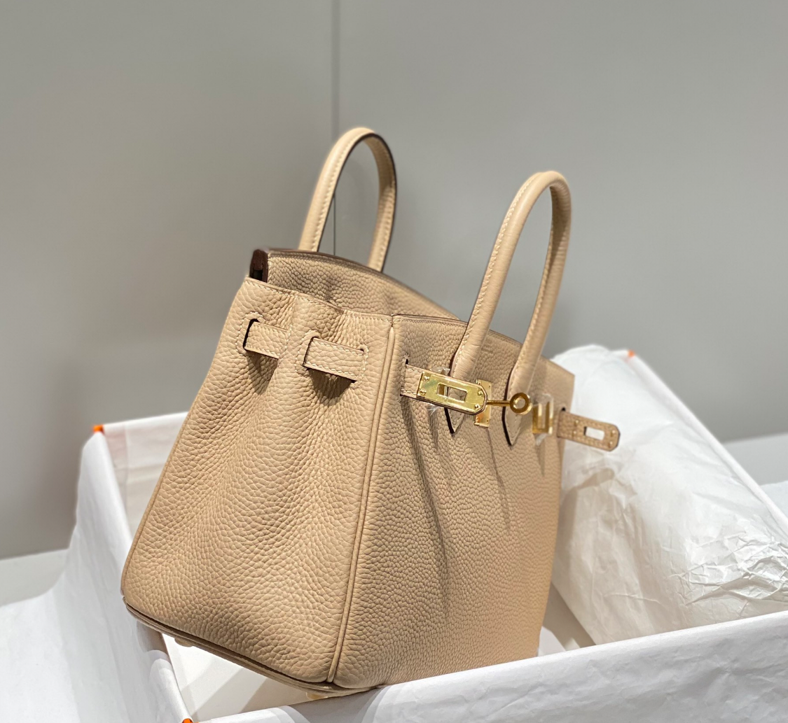 Hermès Birkin 25