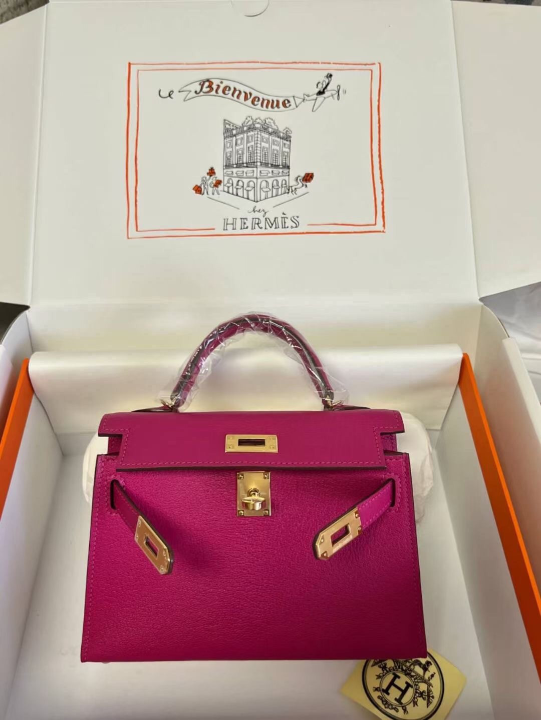 Hermès Mini Kelly Chèvre 19 19×6×12cm