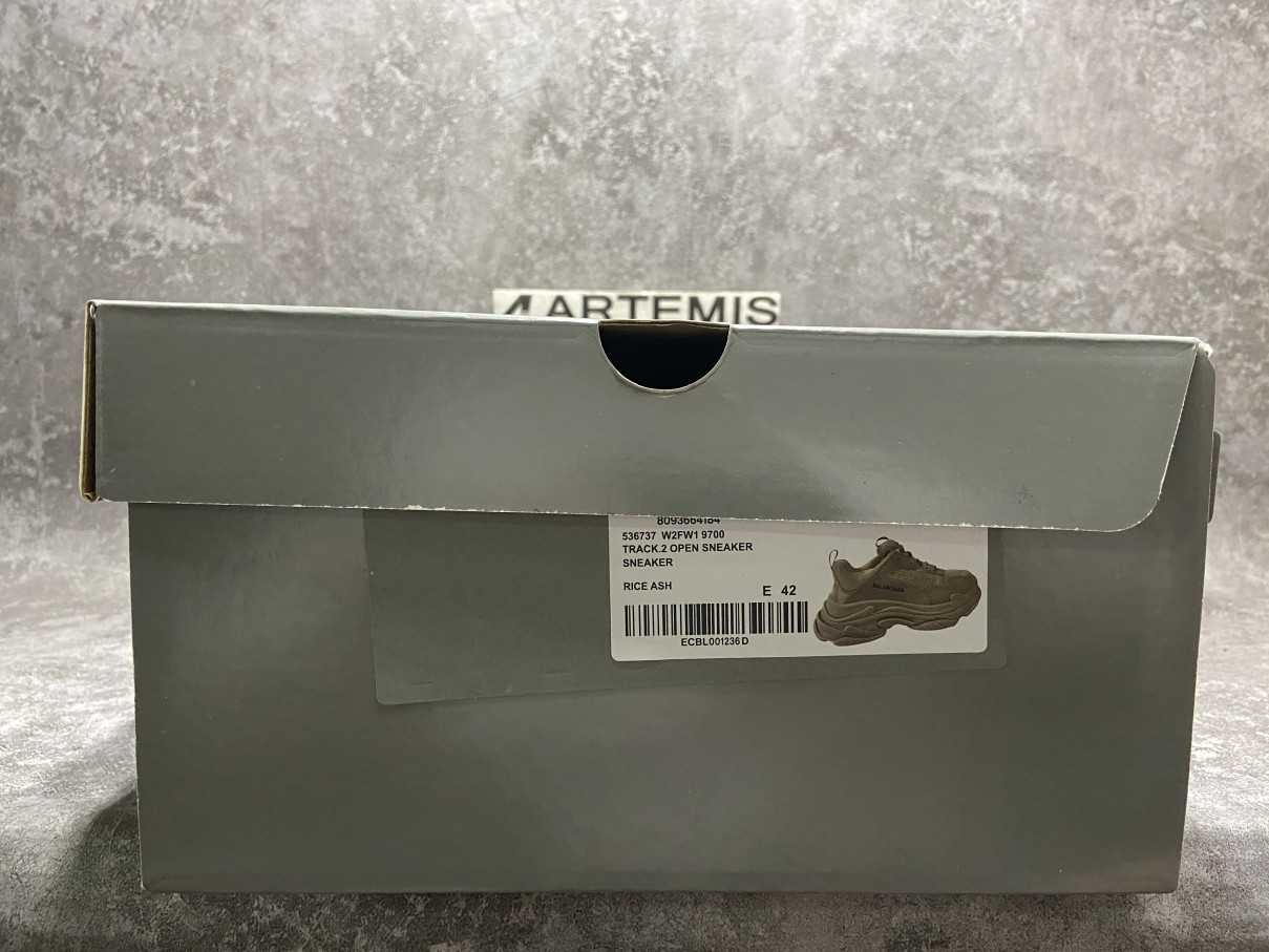 Balenciga Triple S Street Style Leather