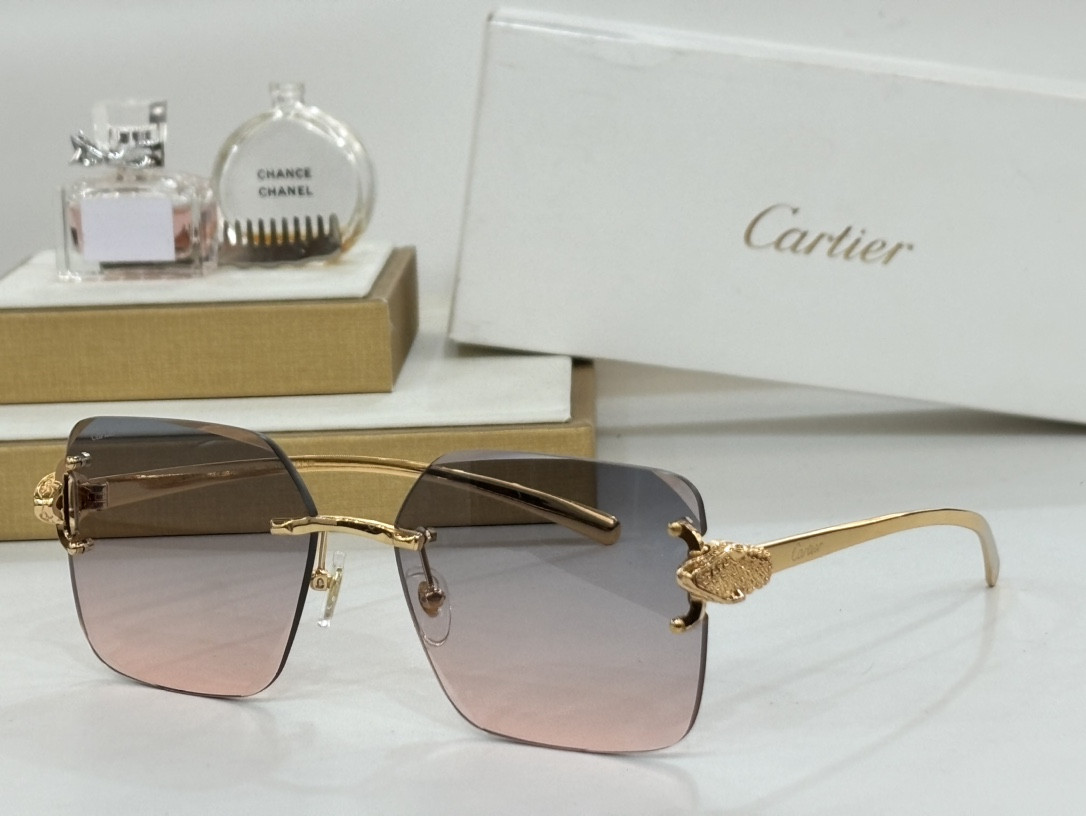 Ca*t*er glasses ct0647 60-17-145